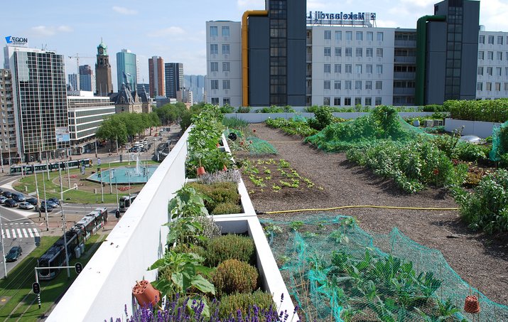 Referenzobjekt Urban Gardening Dakakker Schieblock Rotterdam