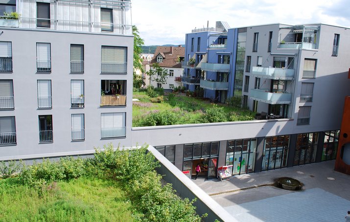 Referenzobjekt Urban Gardening Gerberareal Radolfzell